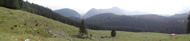 © Adele & Harry Potter