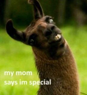 Zdroj:  http://media.carddit.com/a/tPtYRwkDv.jpg