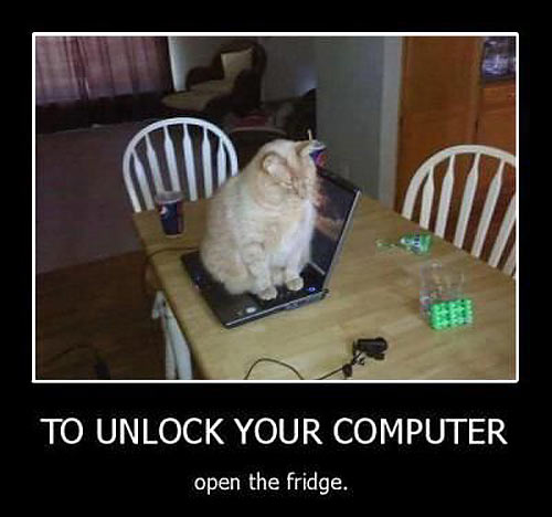 funny-cat-computer-table-jerk
