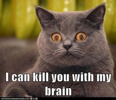 31e3b904897405e95aa1e33402980316