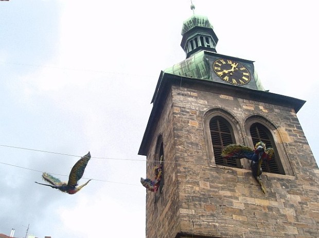 Pterodaktyly najdete zde: http://praga-magica.blog.cz/1406/kolibrici