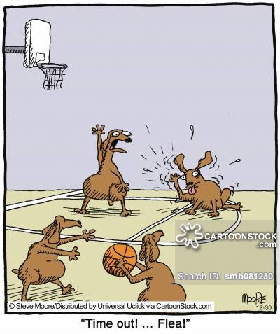 'Time ou! ... Flea!'