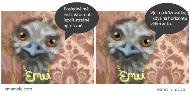agresivne-do-krizovatky
